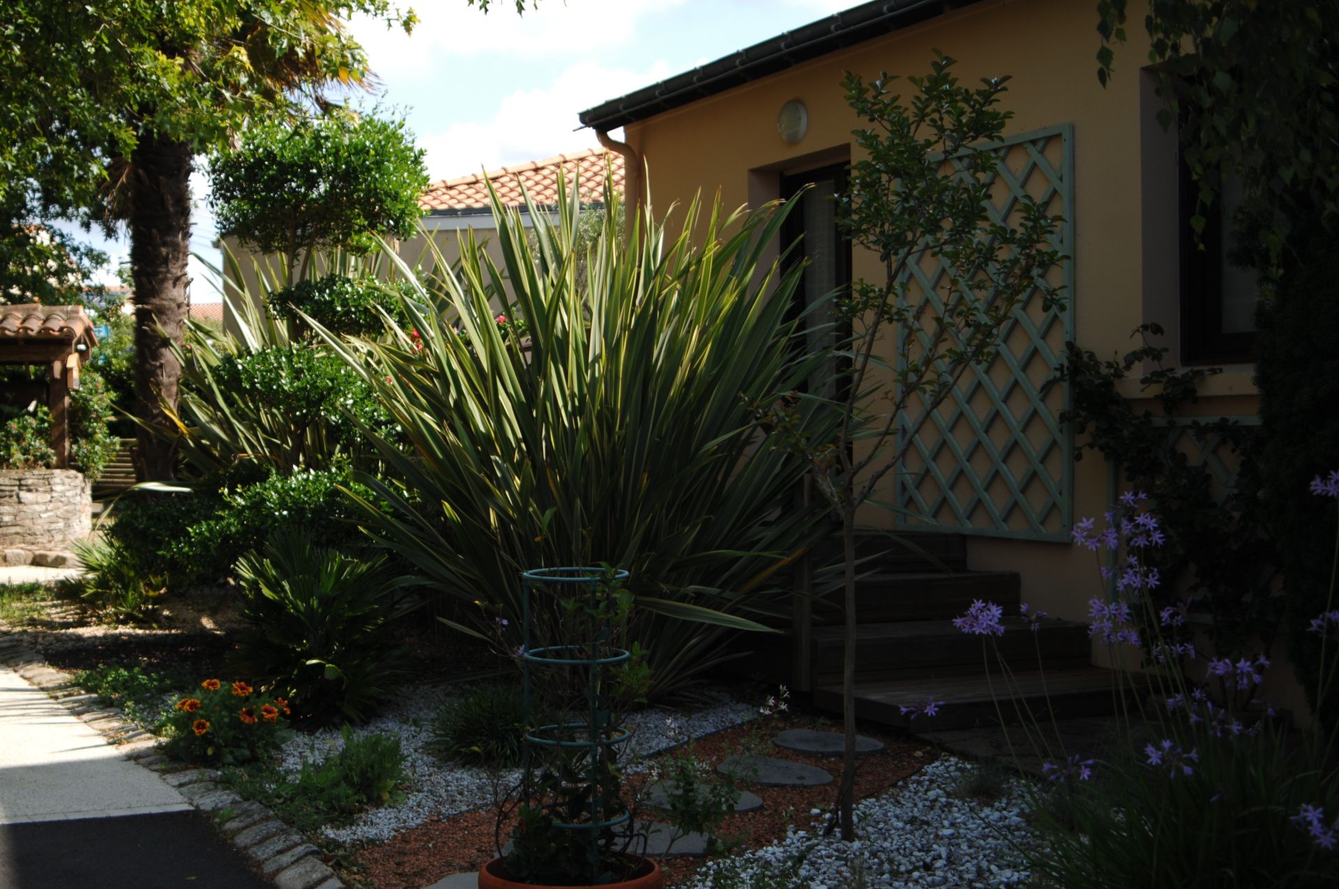 Photo principale de Oasis